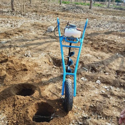 大豆种植基地除虫喷雾器   小区消毒喷雾器  多喷头喷幅2米打药机厂家