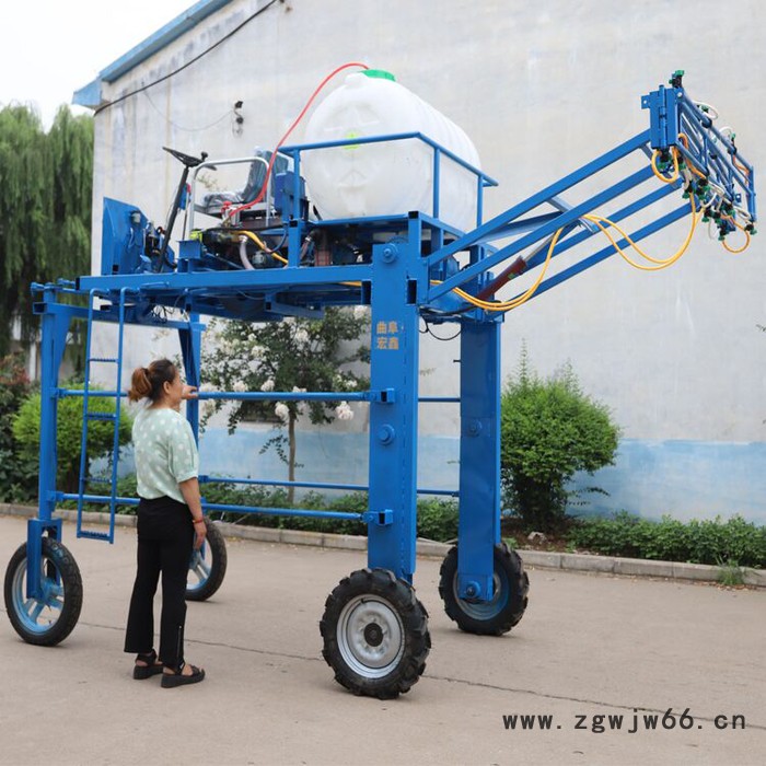 大面积农田喷雾机 高架折叠杆打药机 多喷头农田打药机图3