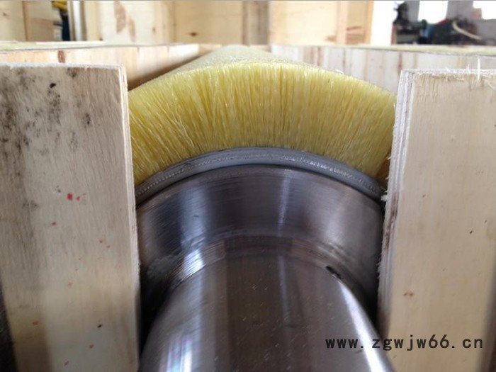 **弹簧刷不锈钢板毛刷辊 特价批发销售高质量毛刷辊图3