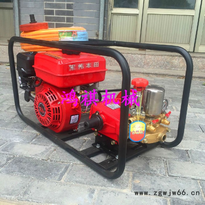 农田杀虫喷雾器  多喷头可调节果园果树打药机B鸿祺打药机图8