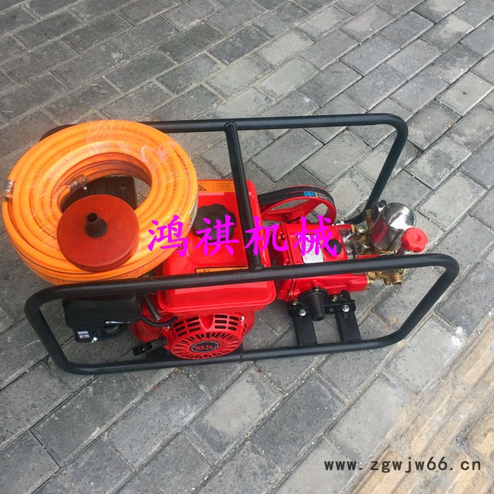 农田杀虫喷雾器  多喷头可调节果园果树打药机B鸿祺打药机图7