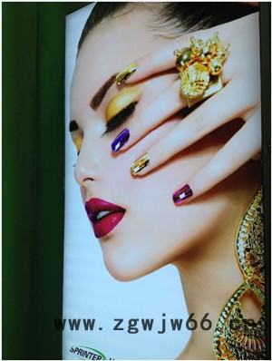 日本EPSON爱普生第五代喷头两组四色打印---高清广告 写真机厂家 写真机 写真机厂家图2