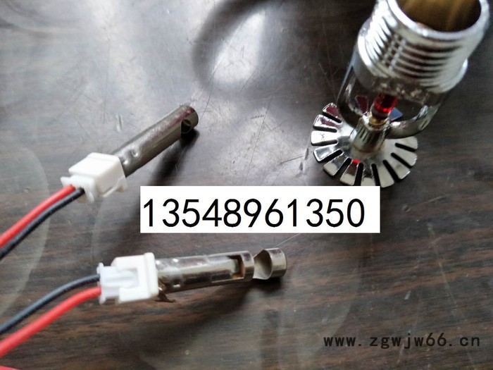 20年老厂专业研发生产各种电点火具 S型气溶胶灭火装置，电喷头