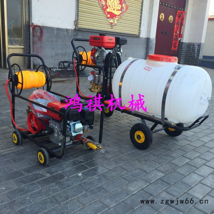 农用热力灭菌杀毒打药机 资阳DY 多喷头农用打药机图5