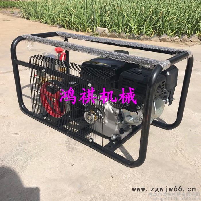 农用热力灭菌杀毒打药机 资阳DY 多喷头农用打药机图6