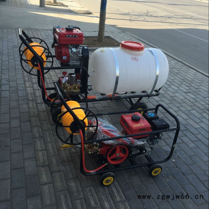 射程远打药机多喷头农用打药机喷药机图片图3