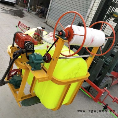 汽油四冲程打药机 多喷头打药机 高压远程打药机 推车式打药机