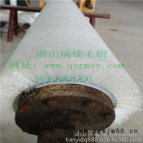 尼龙清洗毛刷,玻璃清洗机毛刷辊,耐高温毛刷辊,弹簧毛刷辊图8