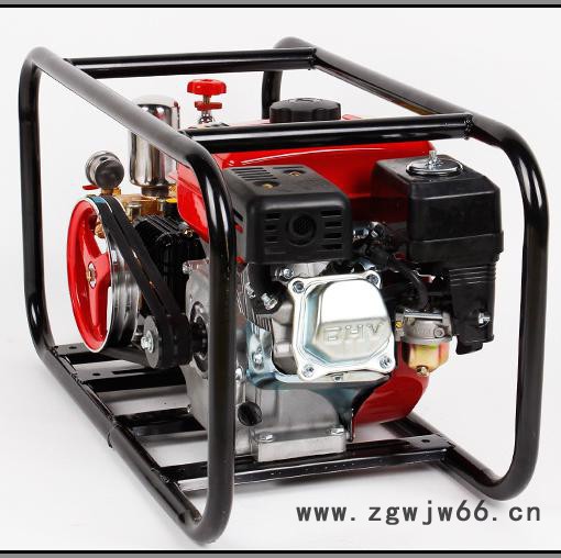 多喷头农用打药机A远射程喷雾机高压农田打药机图5