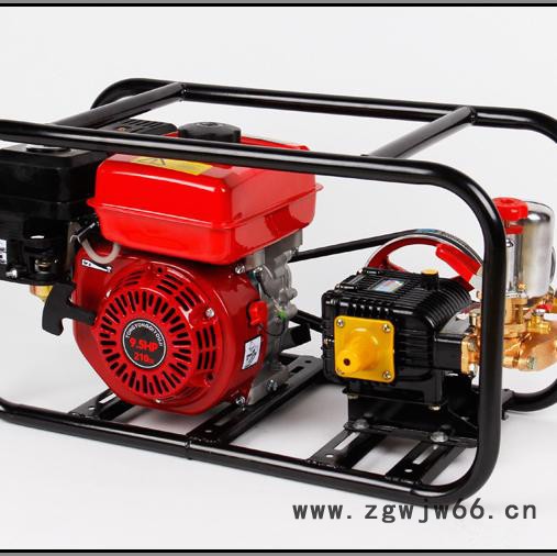 多喷头农用打药机A远射程喷雾机高压农田打药机图8