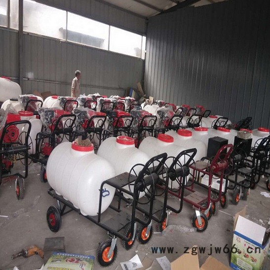 打药机 蔬菜小麦杀虫喷雾器 4米8喷头打药机图2