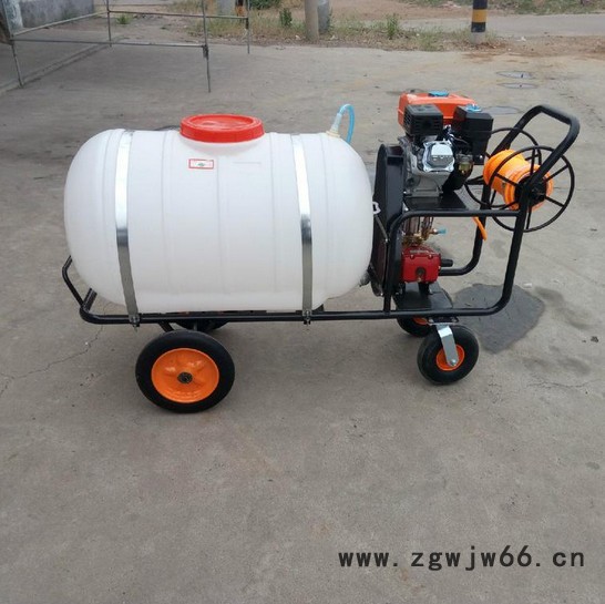 打药机 蔬菜小麦杀虫喷雾器 4米8喷头打药机图6
