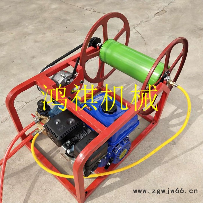 高压喷头推车打药机 新型喷药器报价 电动 供应菜园喷雾机图4