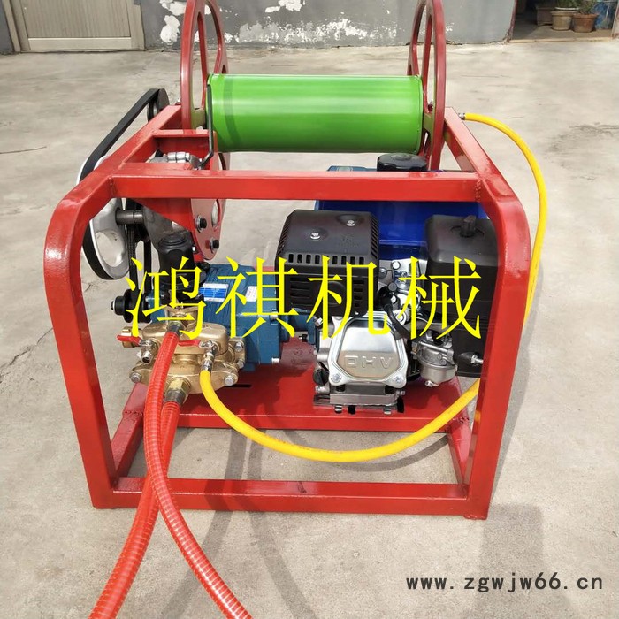 高压喷头推车打药机 新型喷药器报价 电动 供应菜园喷雾机图7