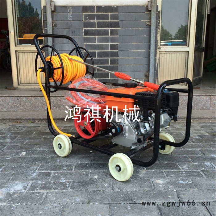 高压喷头推车打药机 新型喷药器报价 电动 供应菜园喷雾机图6