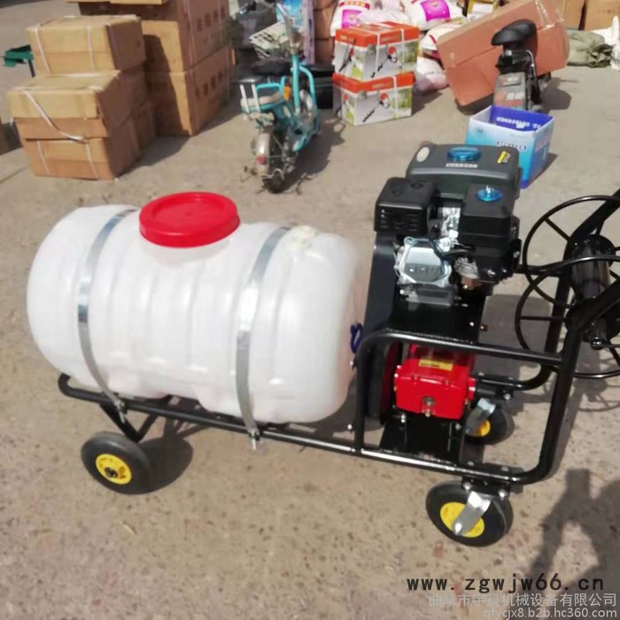 多喷头打药机 畜牧养殖喷雾消毒机农用高压电动喷雾器图3