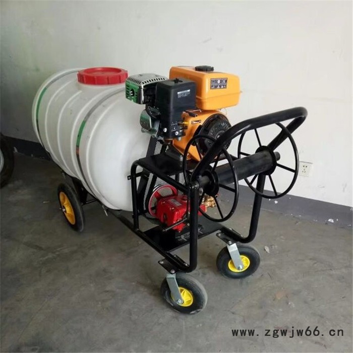 多喷头打药机 畜牧养殖喷雾消毒机农用高压电动喷雾器图7