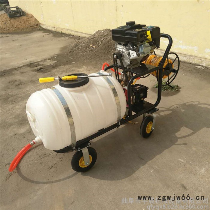 多喷头打药机 畜牧养殖喷雾消毒机农用高压电动喷雾器图4