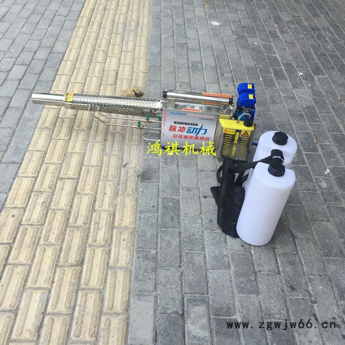玉泉区框架推车打药机 故障地打药机 田园喷雾器双喷头图4