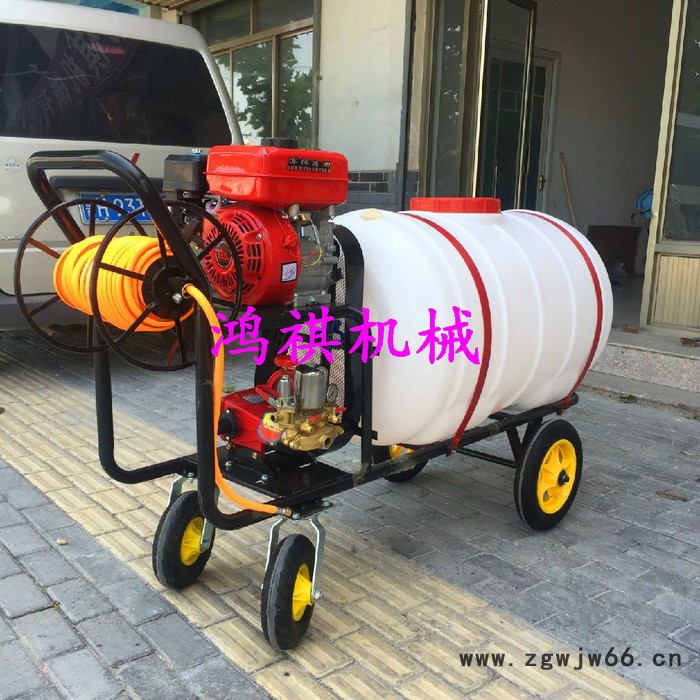 玉泉区框架推车打药机 故障地打药机 田园喷雾器双喷头图7