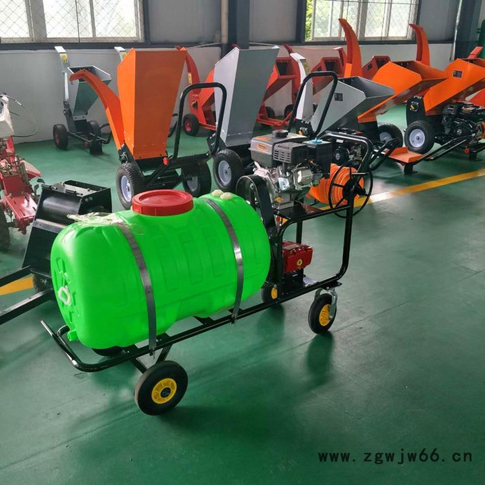 消毒杀菌打药机 果园喷雾机 多喷头喷雾弥雾机 背负式打药机图2