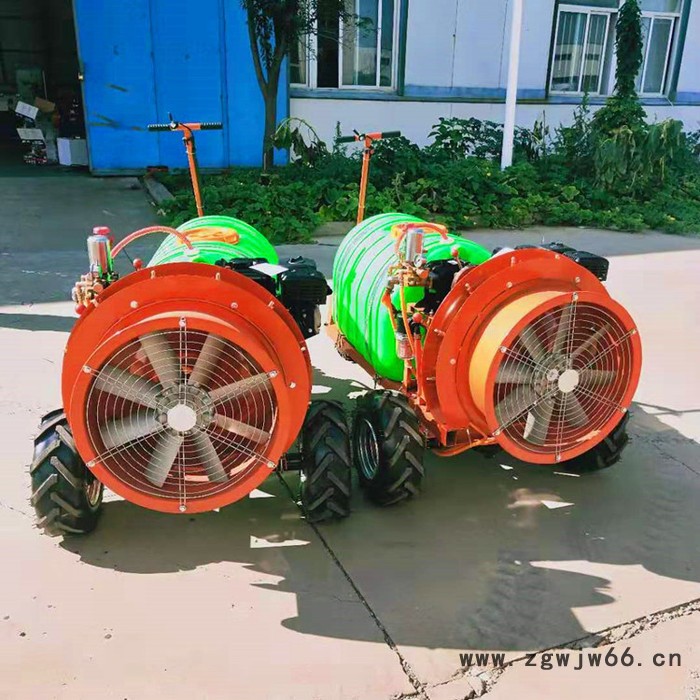 消毒杀菌打药机 果园喷雾机 多喷头喷雾弥雾机 背负式打药机图8