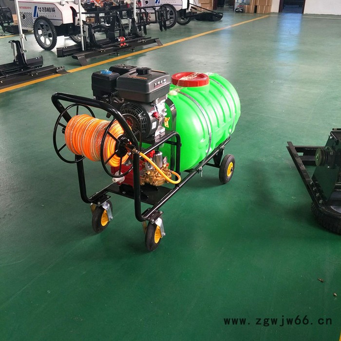 消毒杀菌打药机 果园喷雾机 多喷头喷雾弥雾机 背负式打药机图5