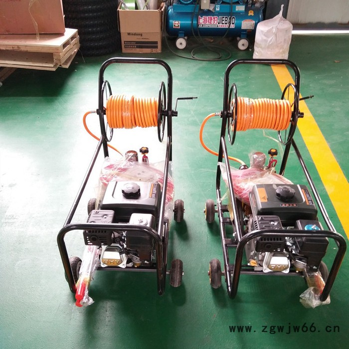 消毒杀菌打药机 果园喷雾机 多喷头喷雾弥雾机 背负式打药机