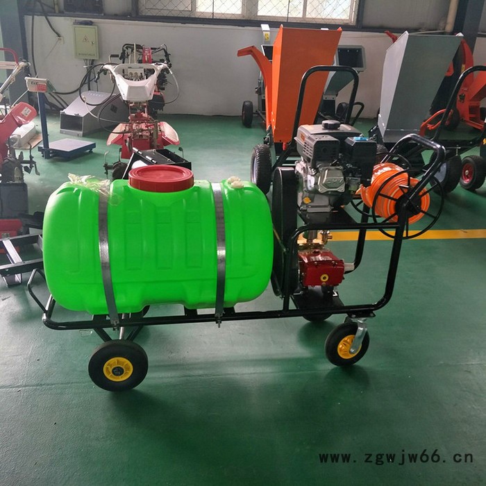 消毒杀菌打药机 果园喷雾机 多喷头喷雾弥雾机 背负式打药机图6