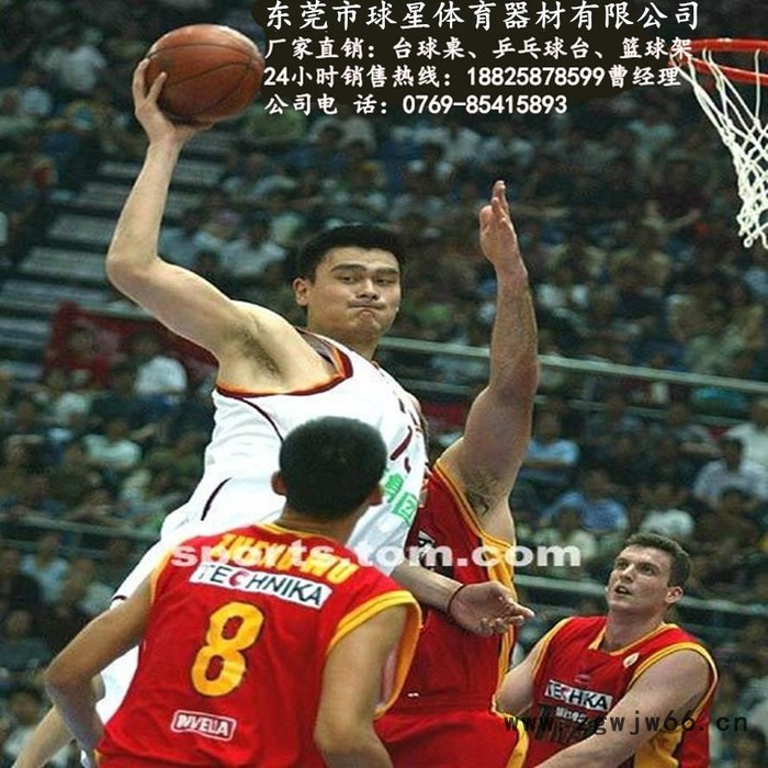 世界品牌篮球框 球星质量好弹簧篮球框 球星篮球框** 篮球架图2