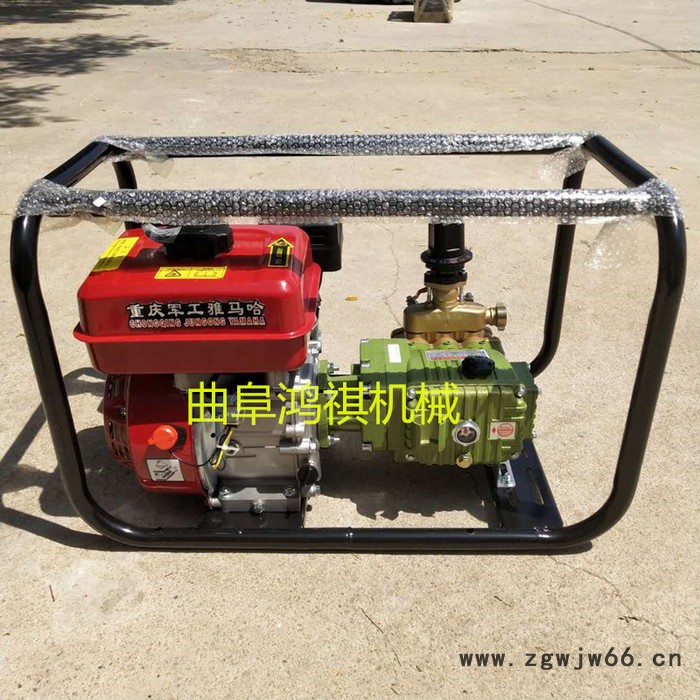 多喷头打药机 四轮推车草坪杀虫 汽油柴油电动打药机P图2