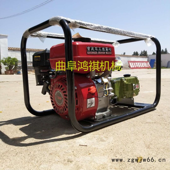 多喷头打药机 四轮推车草坪杀虫 汽油柴油电动打药机P图4