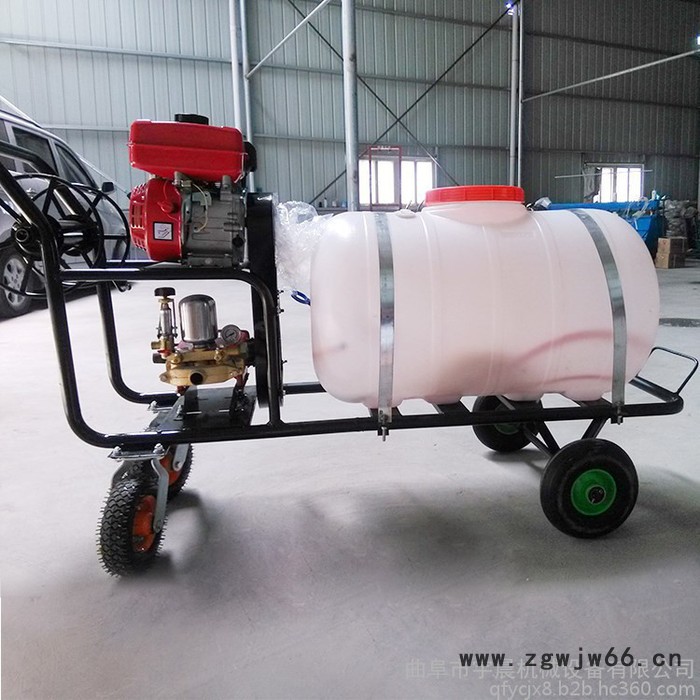 养殖场猪舍消毒机厂家 多喷头打药机 畜牧养殖喷雾消毒机图6