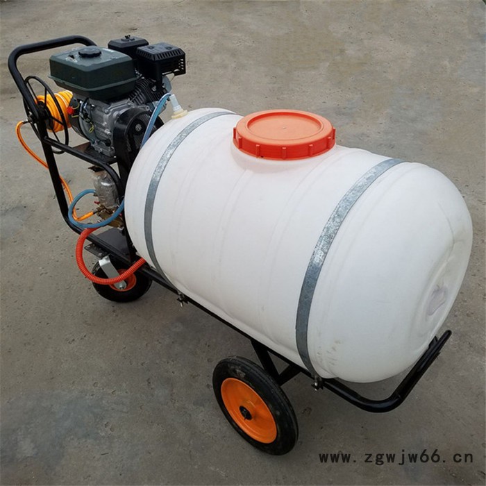 养殖场猪舍消毒机厂家 多喷头打药机 畜牧养殖喷雾消毒机图7