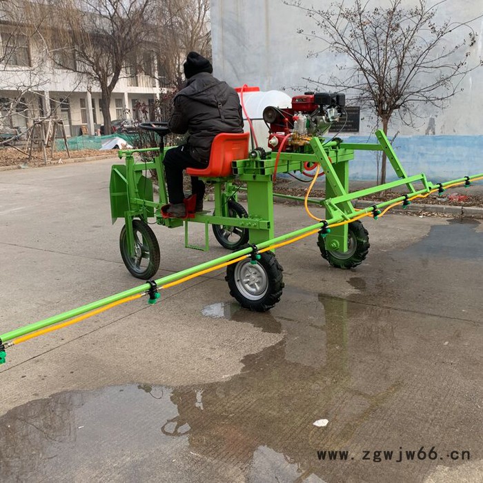 多喷头风送式打药机 乘坐式远程喷雾打药机 农作物杀虫果园打药机图5