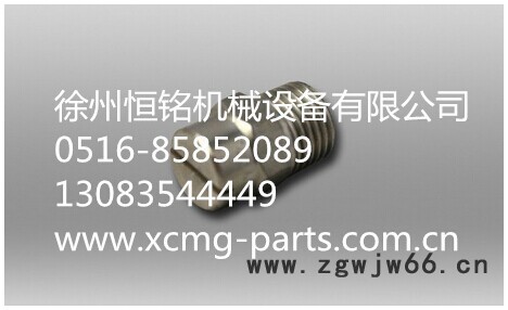 徐工机械及行业设备专用配件800752731                         喷头SPT-6