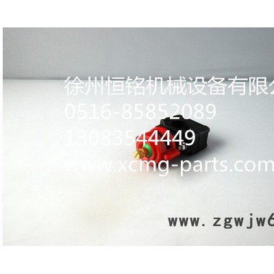 供应徐工机械及行业设备专用配件800752560  SPT-7喷头