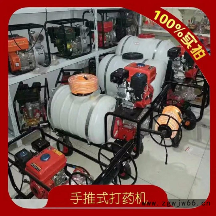 自走带轮子果园喷药机价格 高射程杀虫打药机 小方向盘多喷头打药车**图8