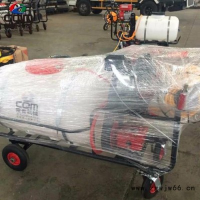 自走带轮子果园喷药机价格 高射程杀虫打药机 小方向盘多喷头打药车**