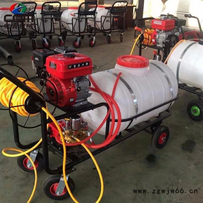 自走带轮子果园喷药机价格 高射程杀虫打药机 小方向盘多喷头打药车**图5