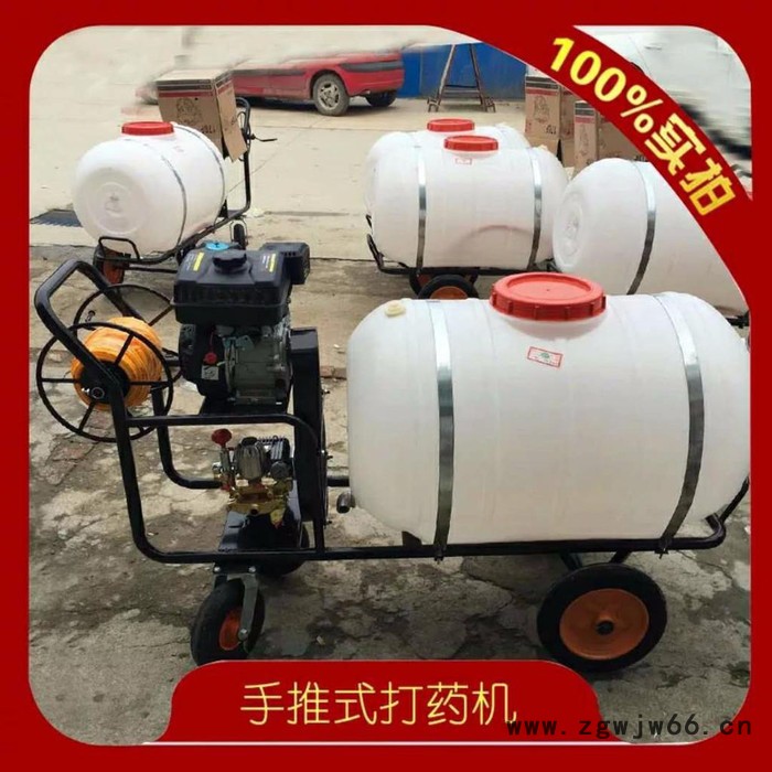 自走带轮子果园喷药机价格 高射程杀虫打药机 小方向盘多喷头打药车**图6