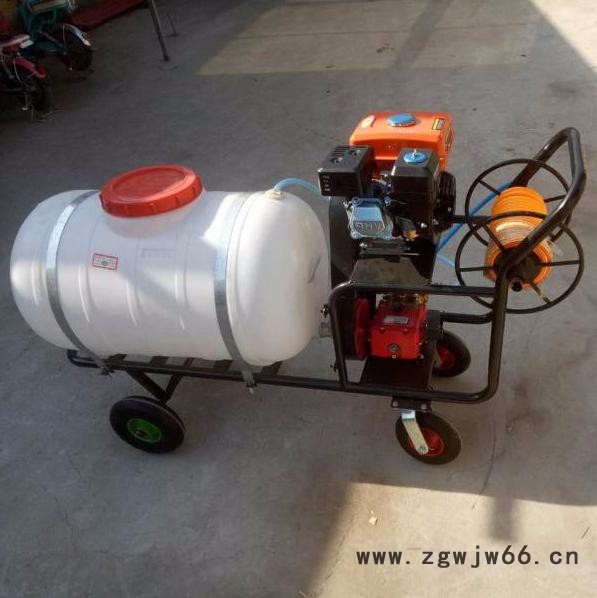 自走带轮子果园喷药机价格 高射程杀虫打药机 小方向盘多喷头打药车**图2