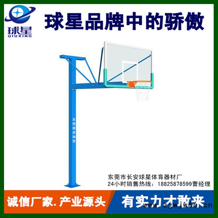 移动式篮球架户外篮球架 标准成人篮球网架 双弹簧篮球圈钢化板