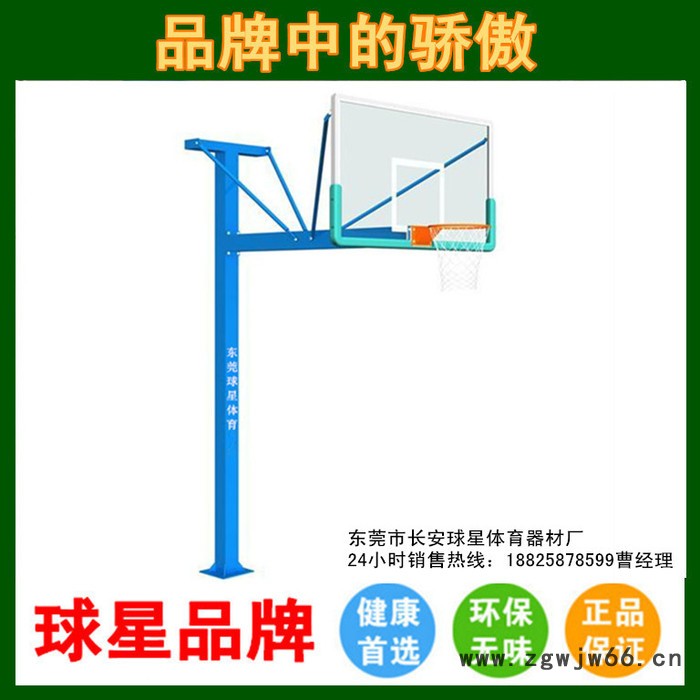 移动式篮球架户外篮球架 标准成人篮球网架 双弹簧篮球圈钢化板图3