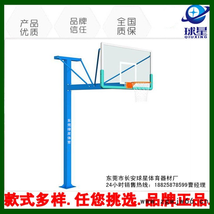 移动式篮球架户外篮球架 标准成人篮球网架 双弹簧篮球圈钢化板图5