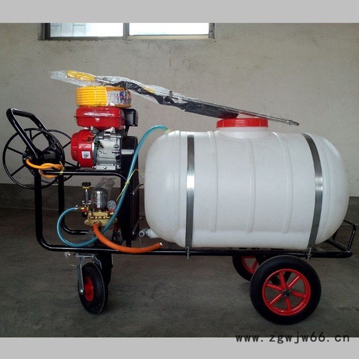 汽油手推式打药机 后悬挂多喷头喷药机 慧聪机械图8