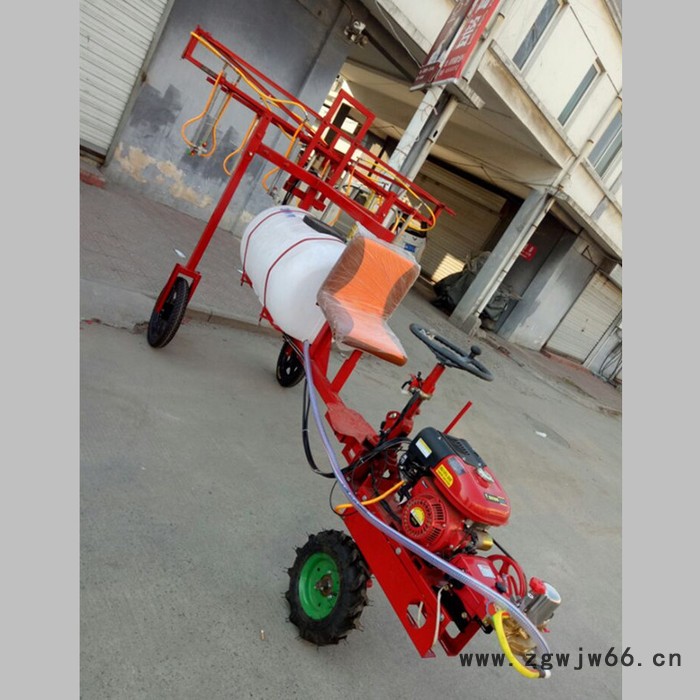 汽油手推式打药机 后悬挂多喷头喷药机 慧聪机械图3
