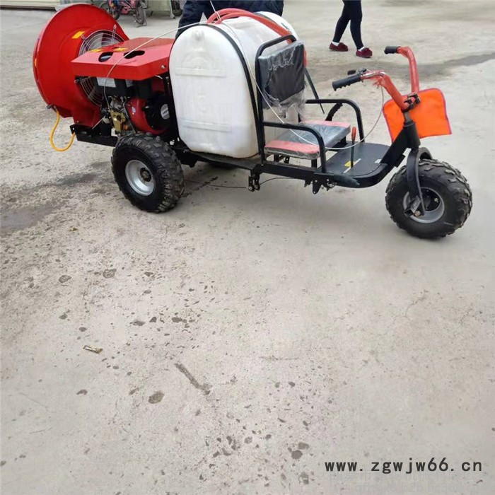 汽油手推式打药机 后悬挂多喷头喷药机 慧聪机械图7