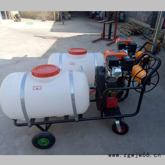汽油手推式打药机 后悬挂多喷头喷药机 慧聪机械图5
