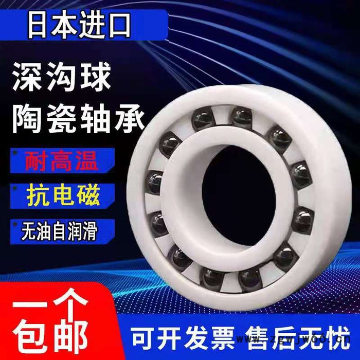 NSK 恩斯凯6200 NSK陶瓷球轴承 高速进口NSK轴承 日本进口轴承图4